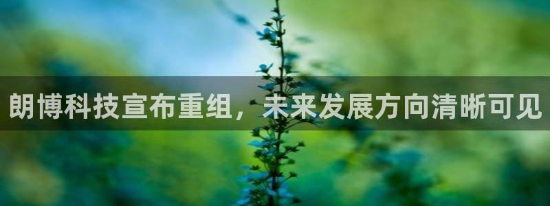 朗博科技宣布重组，未来发展方向清晰可见