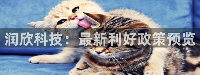 润欣科技：最新利好政策预览