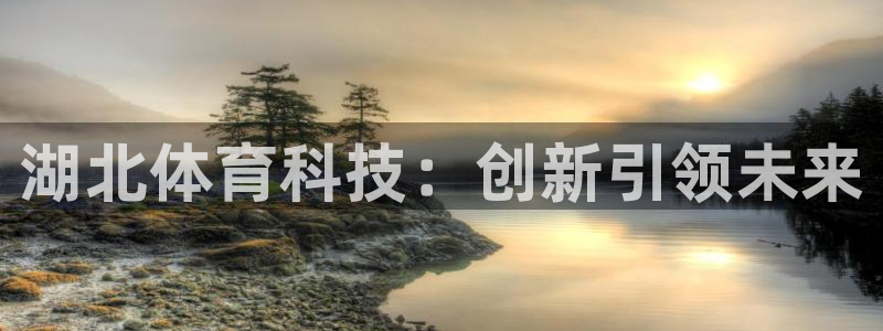 湖北体育科技：创新引领未来