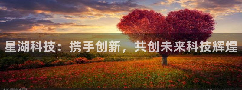 星湖科技：携手创新，共创未来科技辉煌