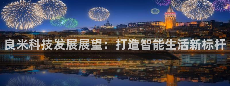 良米科技发展展望：打造智能生活新标杆