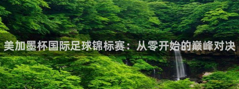 美加墨杯国际足球锦标赛：从零开始的巅峰对决